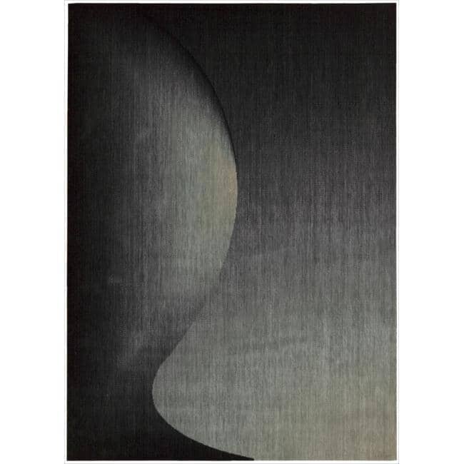 Nourison Radiant Arts RA01 Area Rug