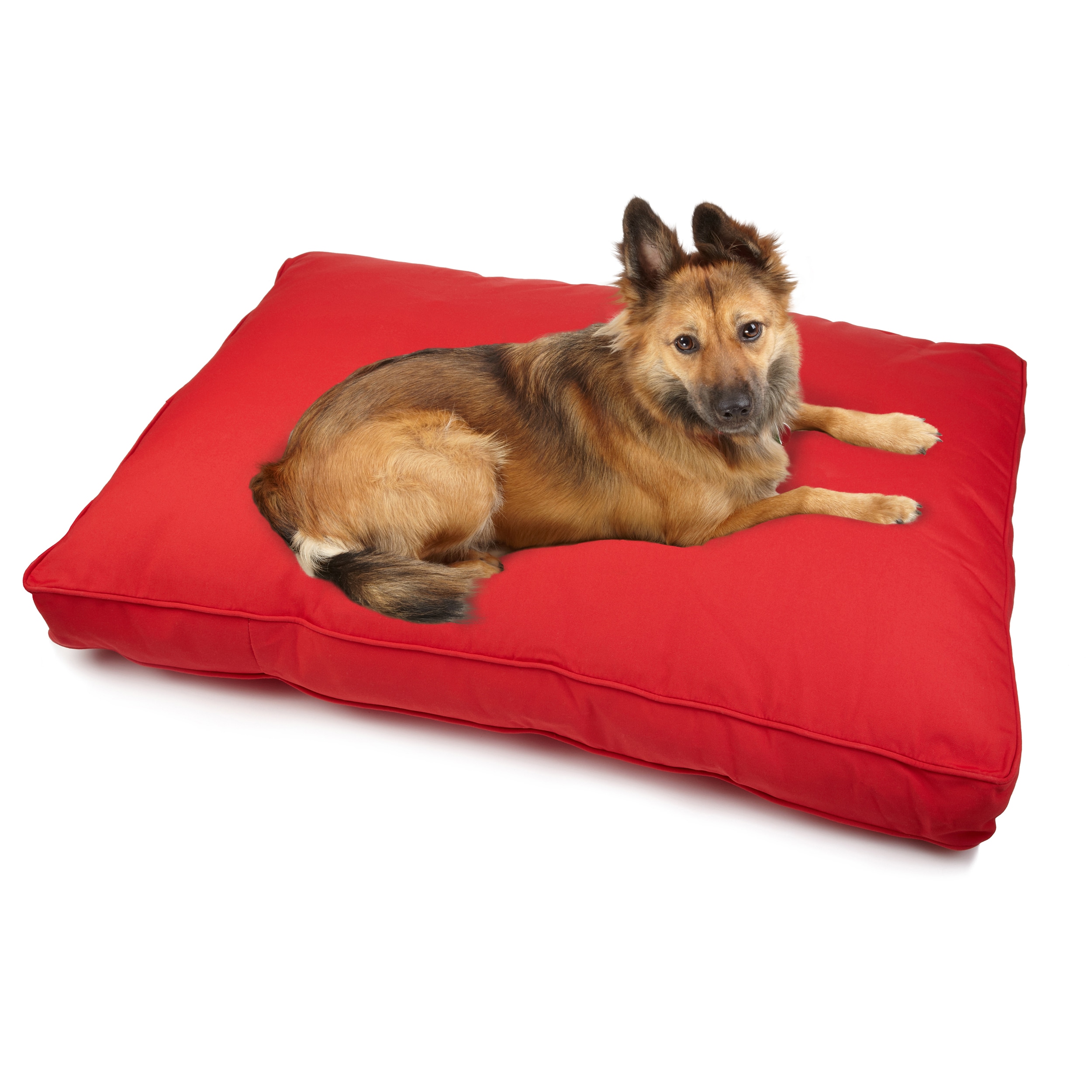 crocodile glove puppet