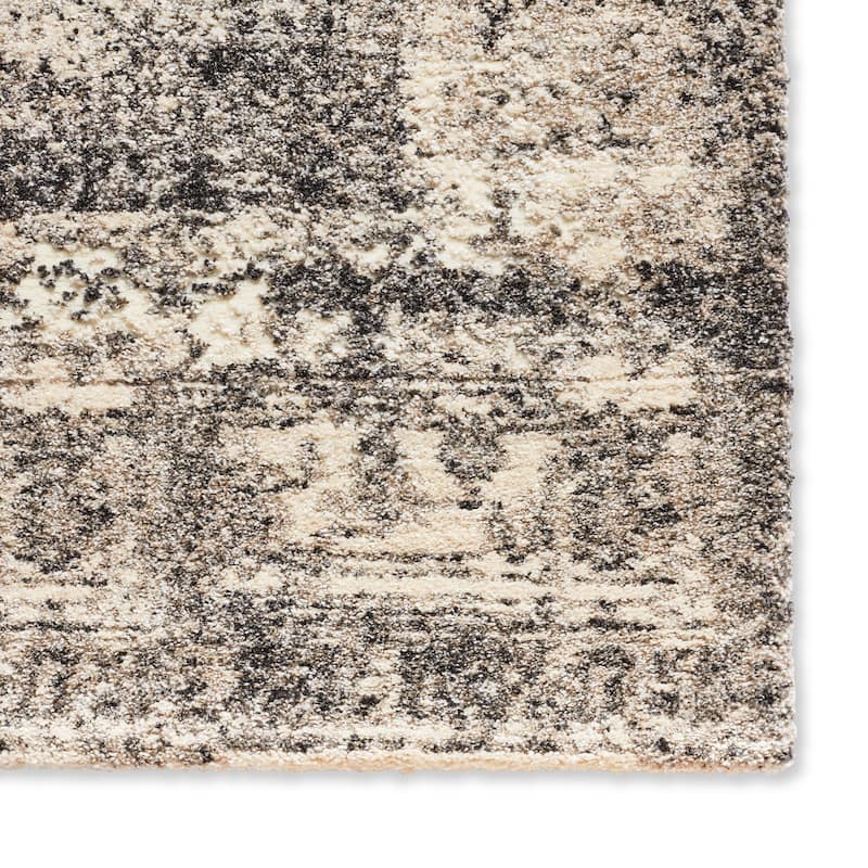 Alexander Home Cassidy Abstract Distressed Transitional Area Rug
