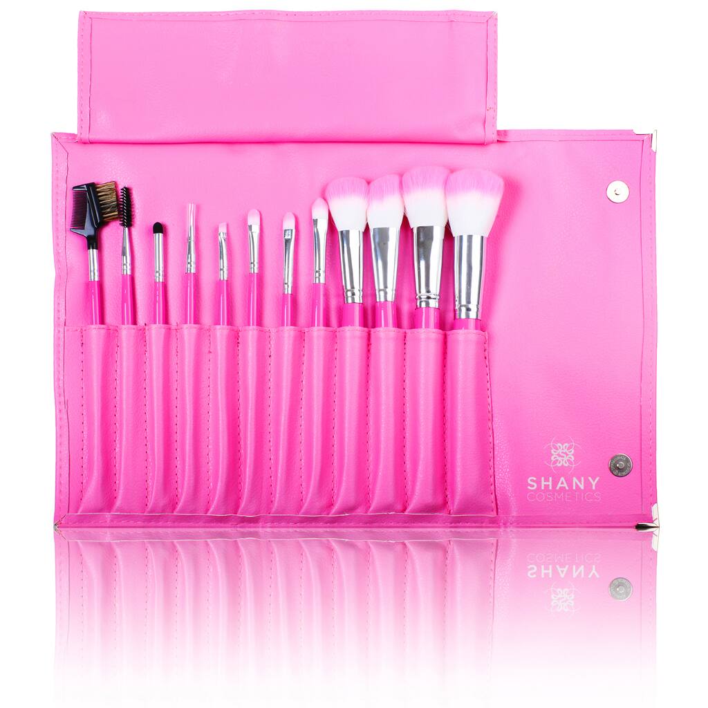 Shany Pro Vegan Mineral Brush Set