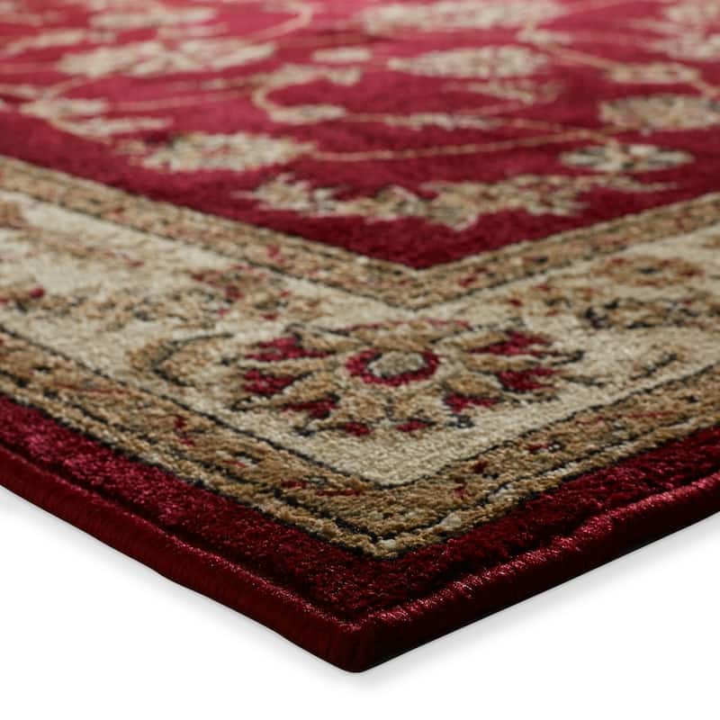 Admire Home Living Amalfi Traditional Scroll Pattern Area Rug