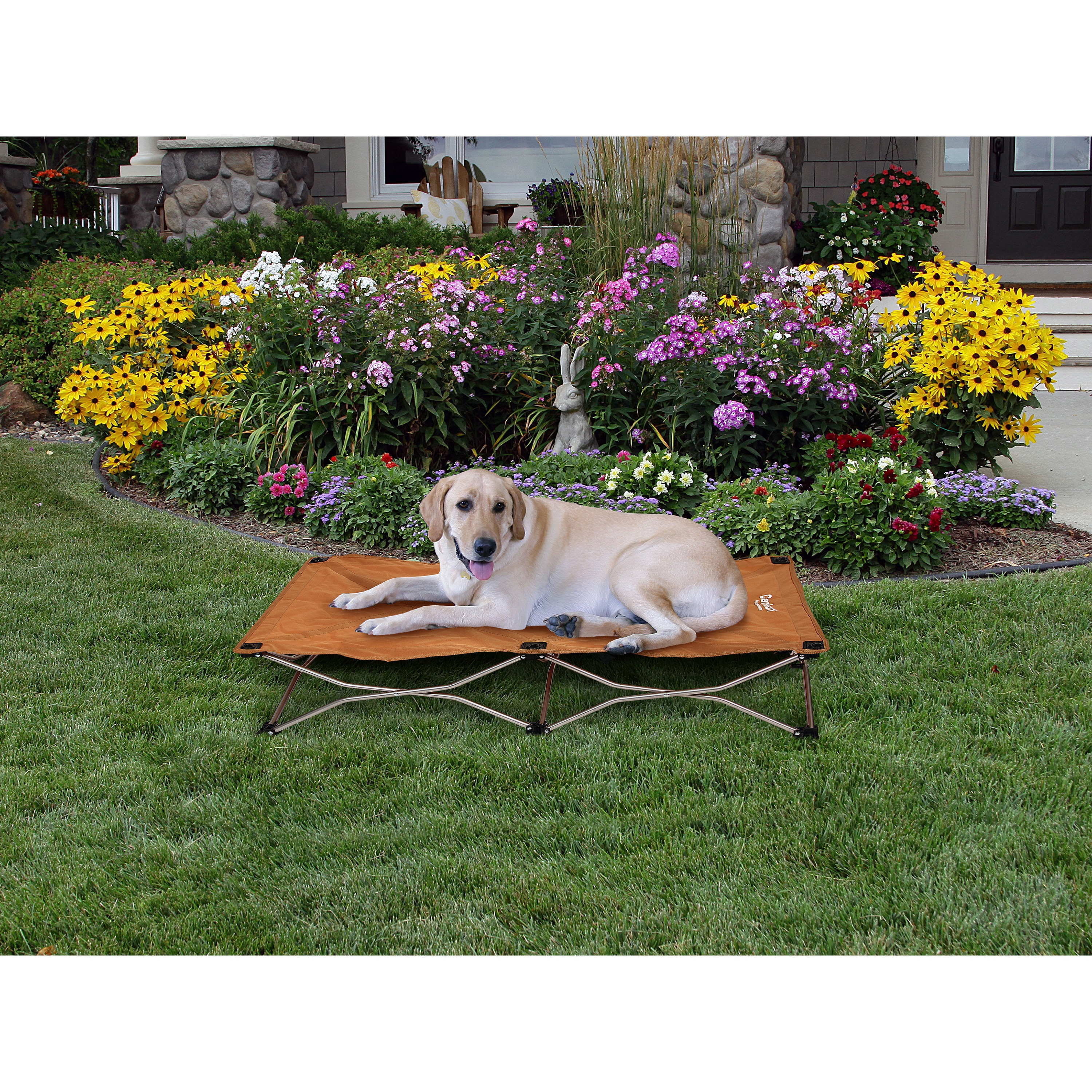 carlson pet products portable pup travel pet bed