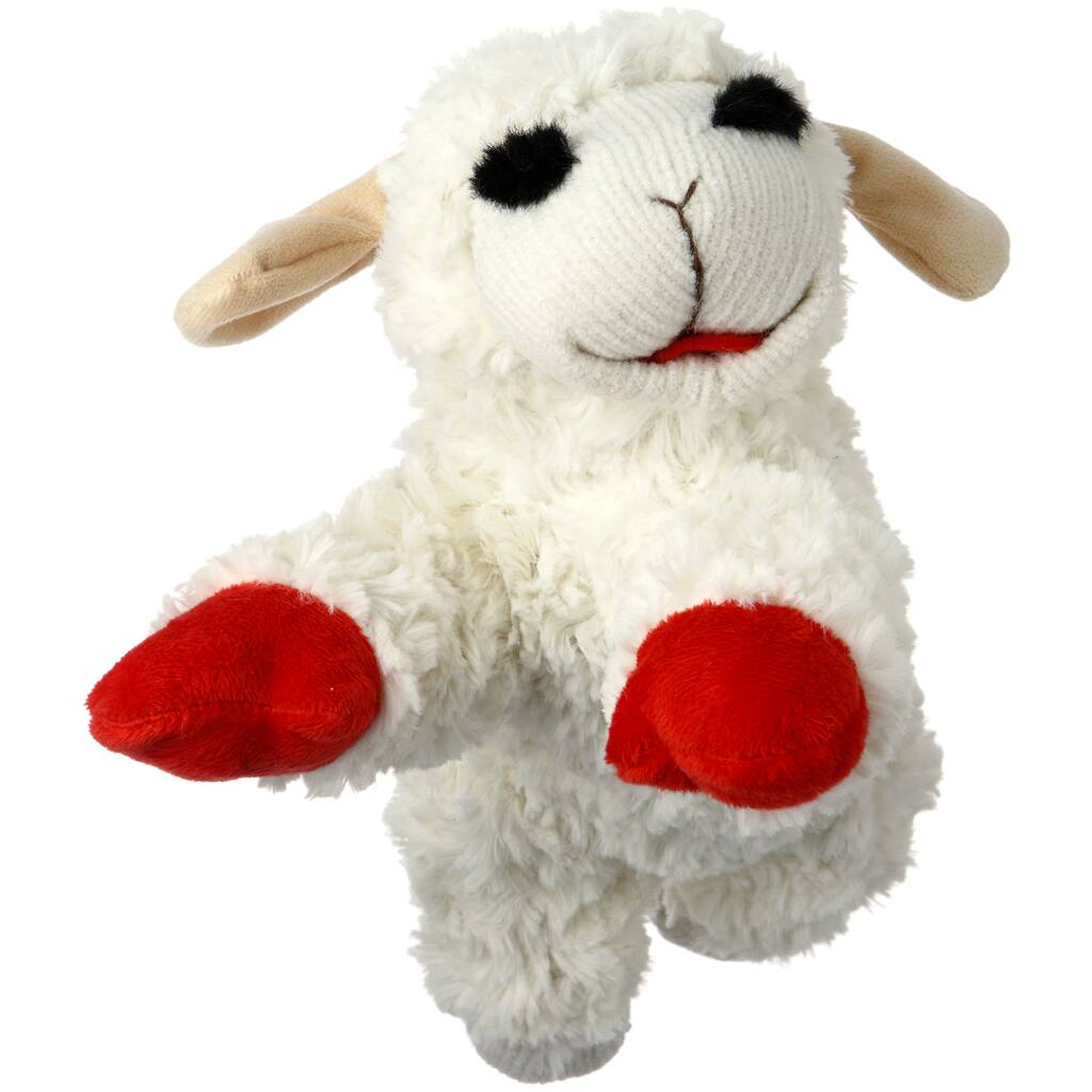 Lamb Chop