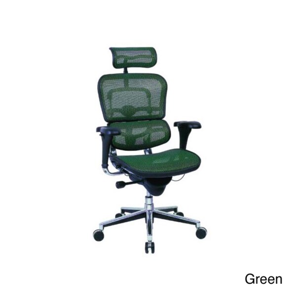 Eurotech Multifunction Mesh Chair with Headrest EUROTECH SEATING Executive Chairs