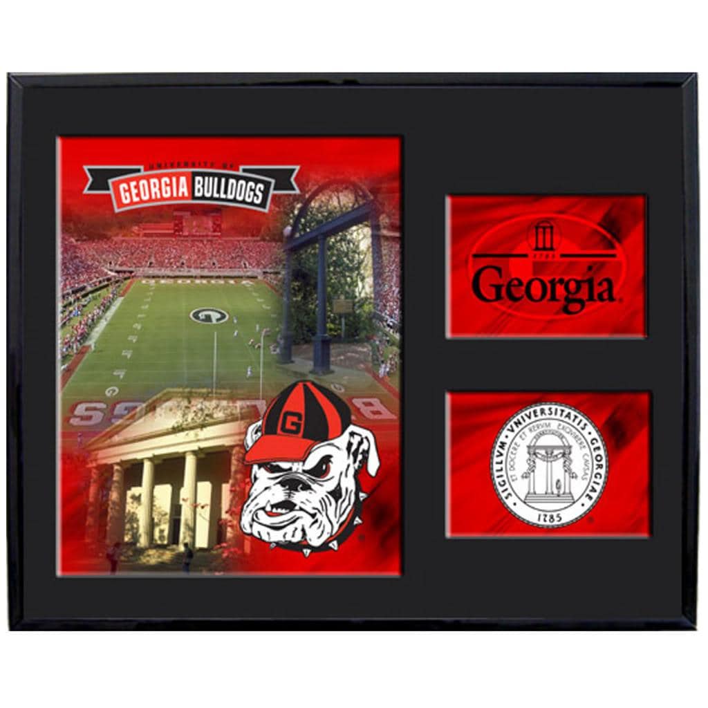Georgia Bulldogs Mylar Wall Hanging Framed Logo  