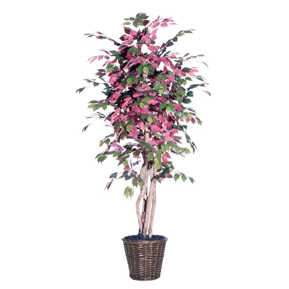 Capensia Executive 6foot Silk/ Polyester Decorative Plant