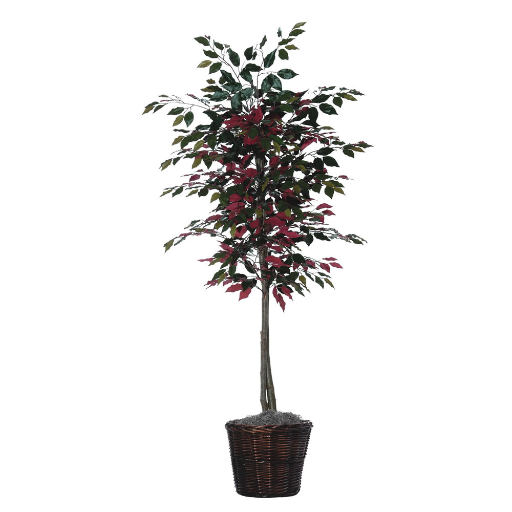 Capensia Tree Executive 6 foot Silk/ Polyester Decorative Plant