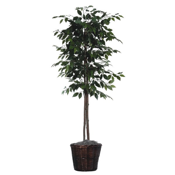 6 Foot Ficus Tree Decorative Plant - 6 Foot Ficus Tree Decorative Plant ...