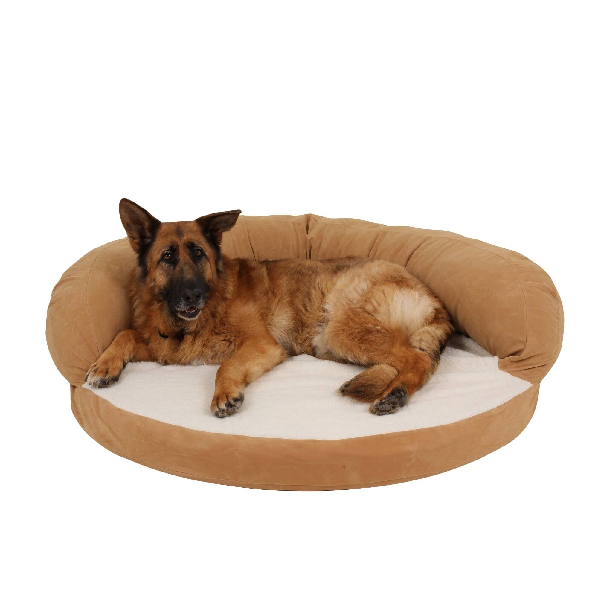 low profile dog bed