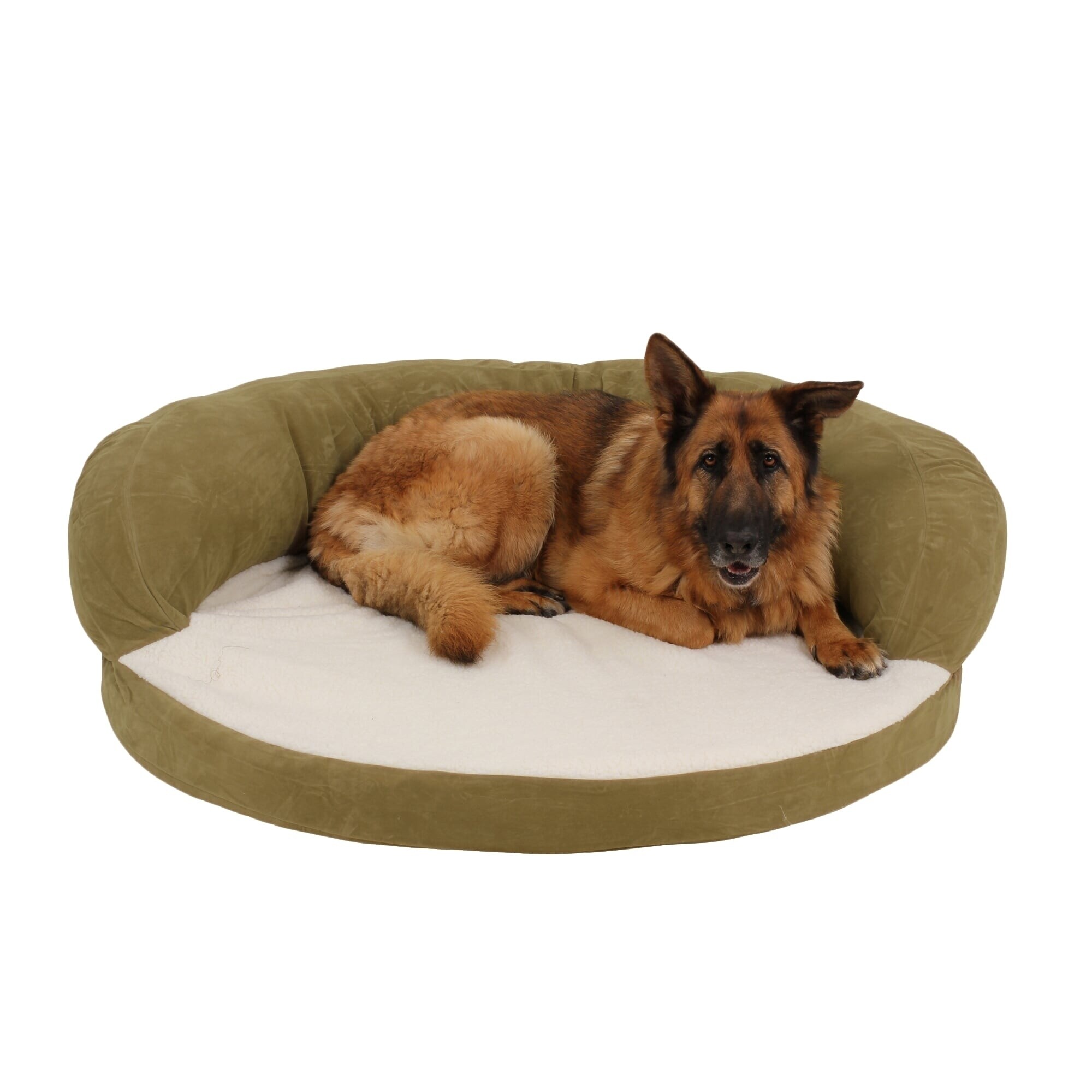 bolster dog bed