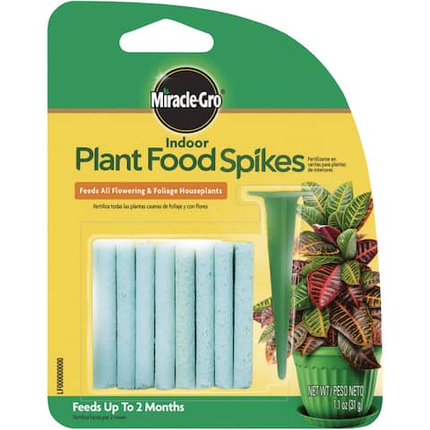 Plant food for fuschia – pack of 24
