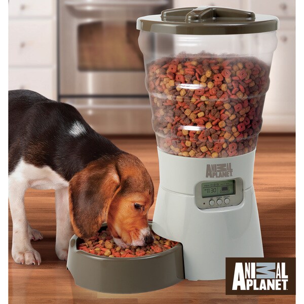 Electronic dog food store dispenser