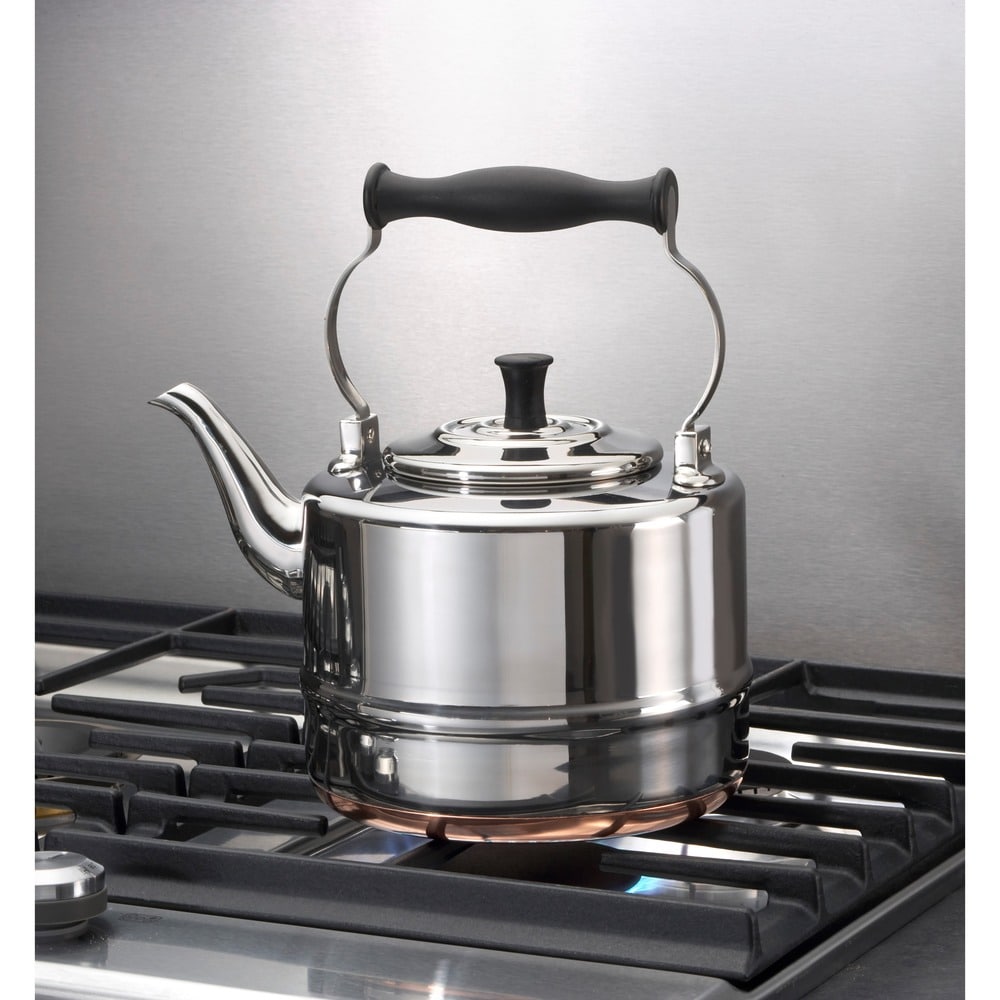 https://ak1.ostkcdn.com/images/products/7469199/BonJour-Tea-Stainless-Steel-Teakettle-d6023bf4-ce34-4164-bf11-e9008ec5ddb3_1000.jpg