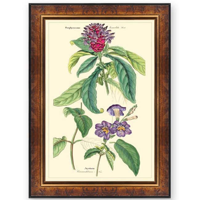 'Complemental Flowers III' Wooden Framed Art Print - Multi