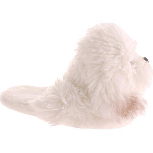 Dambino Bichon Frise White