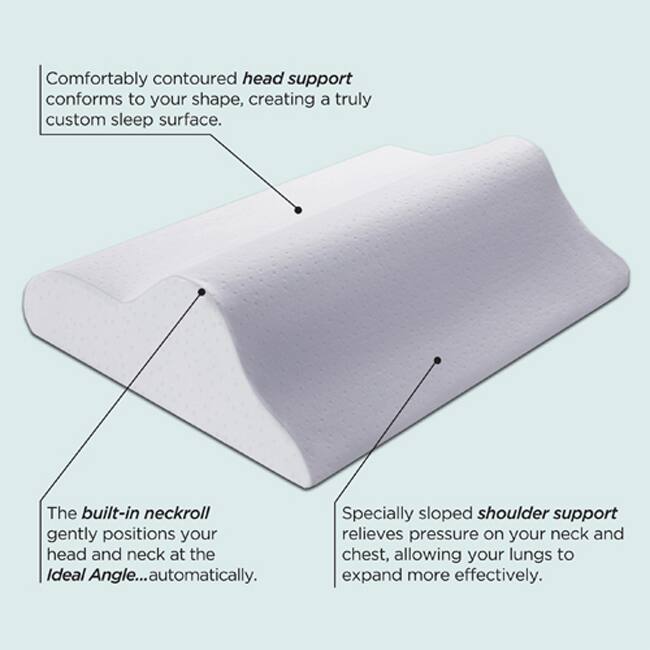 Sleep Innovations Rejuvenation Perfect Sleep Angle Memory Foam Pillow