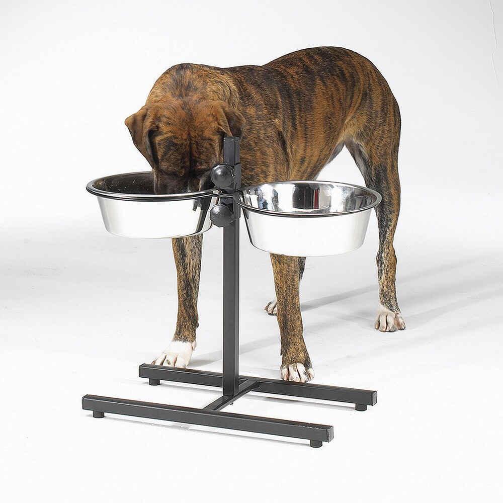 best dog bowls for boxers
