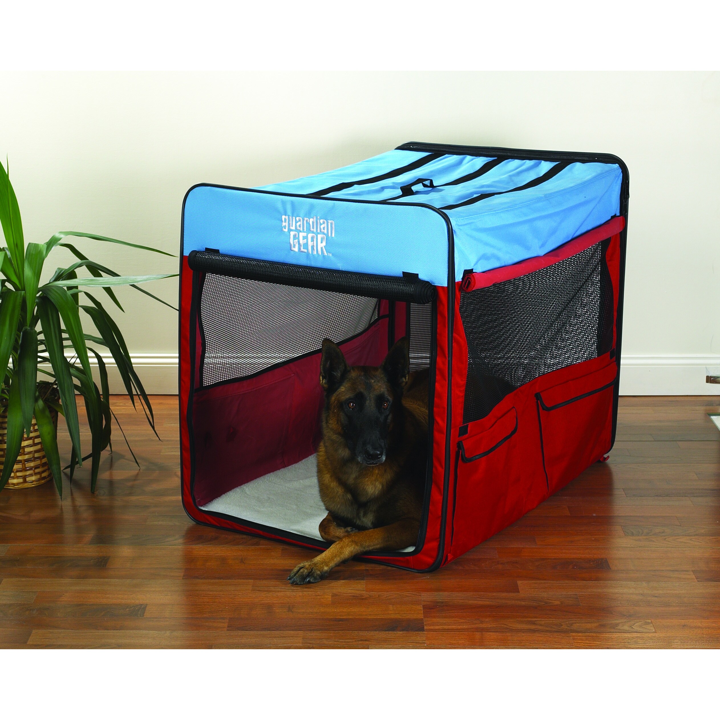 red dog crate