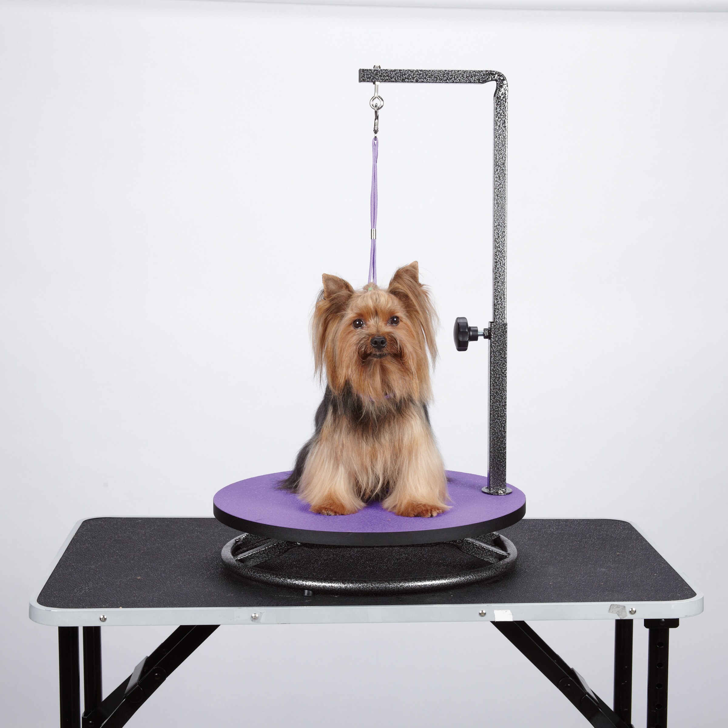  Small Dog Grooming Table  The ultimate guide 