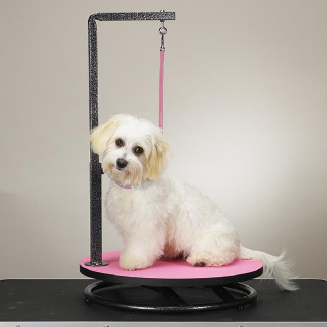 Shop Master Equipment Small Pet Grooming Table (Pink) - Free Shipping