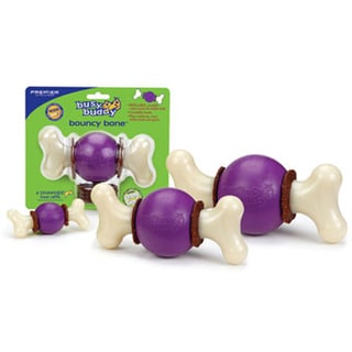 Premier Busy Buddy Bouncy Bone Large Dog Toys Premier Pet Toys