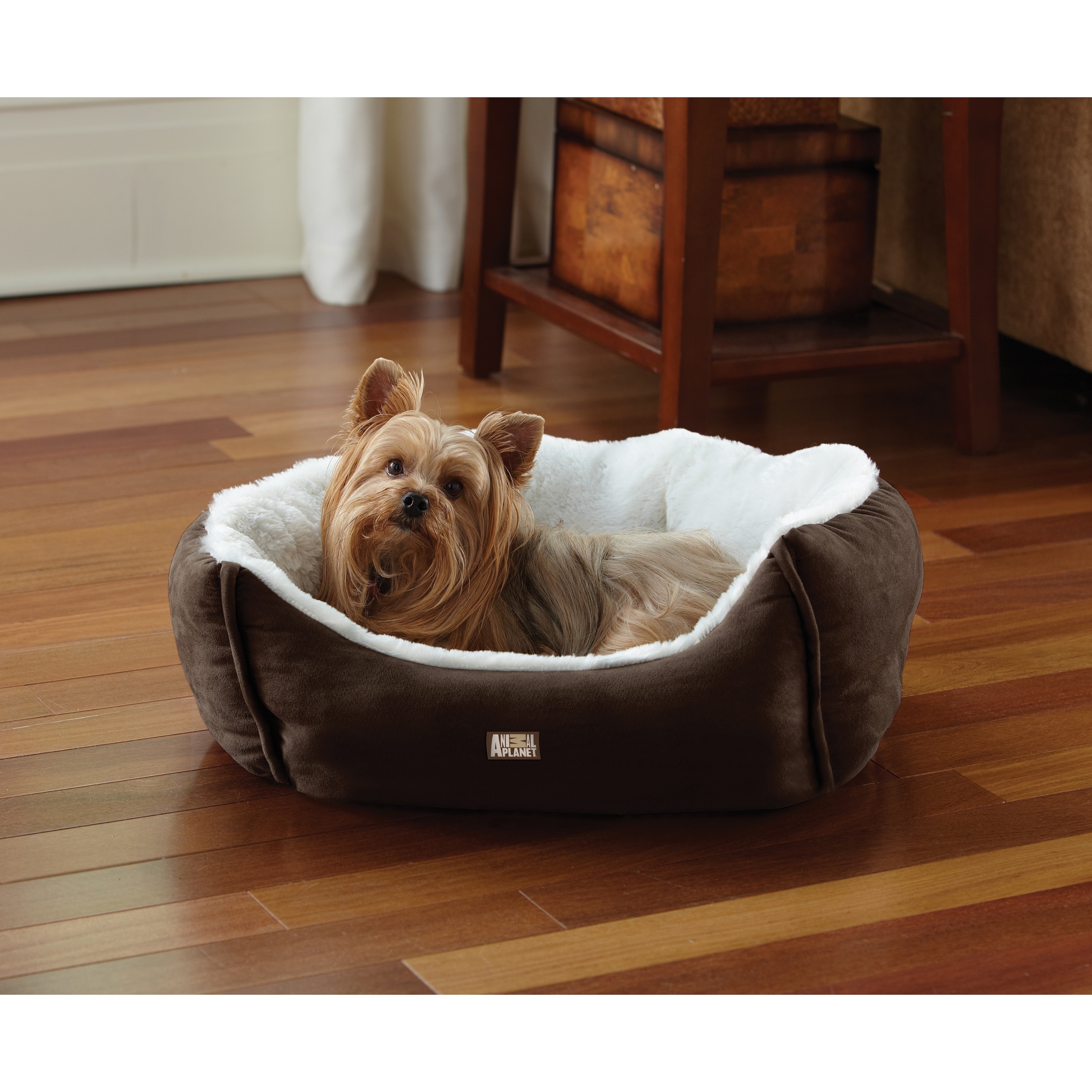 Animal planet cheap pet bed