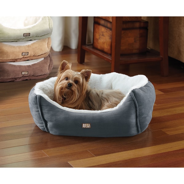 Animal planet memory 2025 foam sofa pet bed