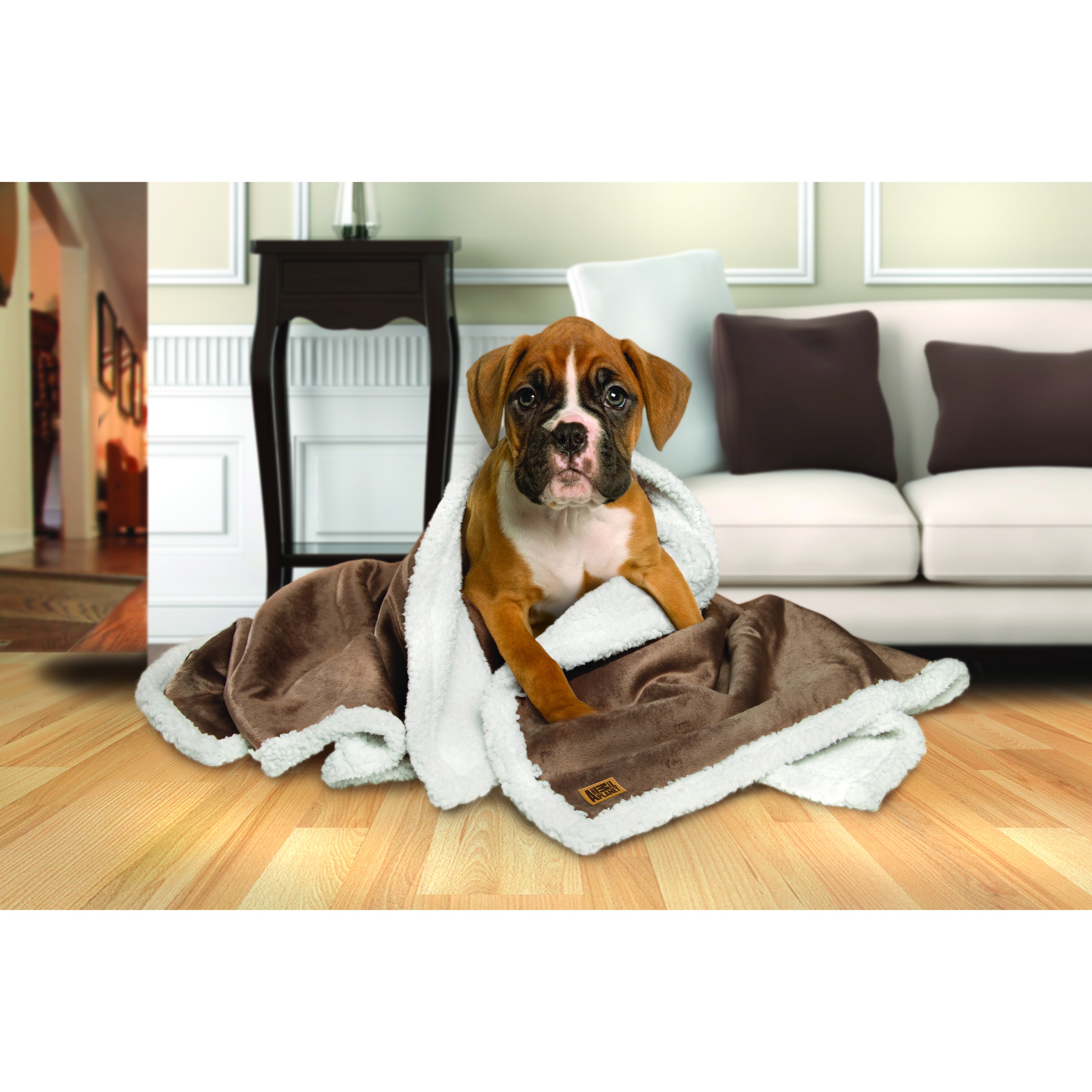 animal planet dog blanket