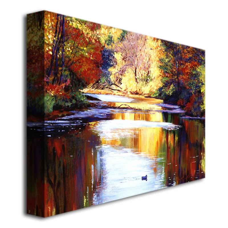 David Lloyd Glover 'Reflections of August' Canvas Art