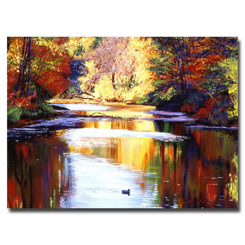 David Lloyd Glover 'Reflections of August' Canvas Art
