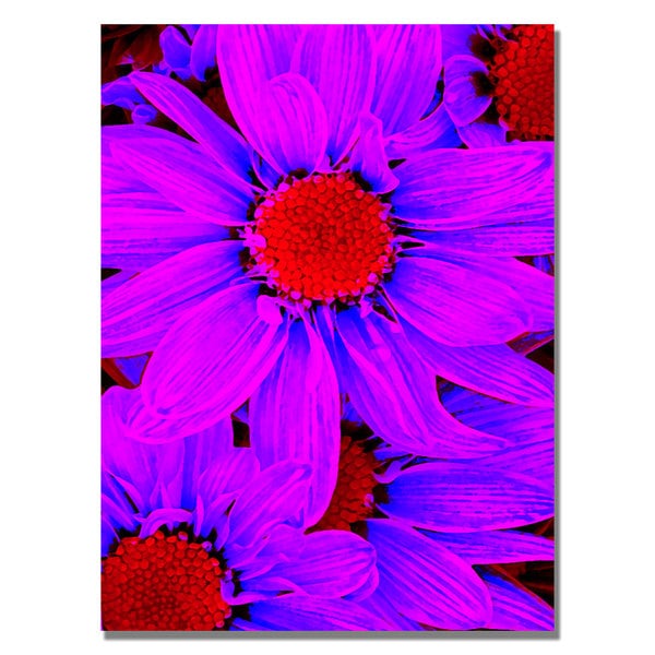 Amy Vangsgard 'Pop Daisies IX' Canvas Art Trademark Fine Art Canvas