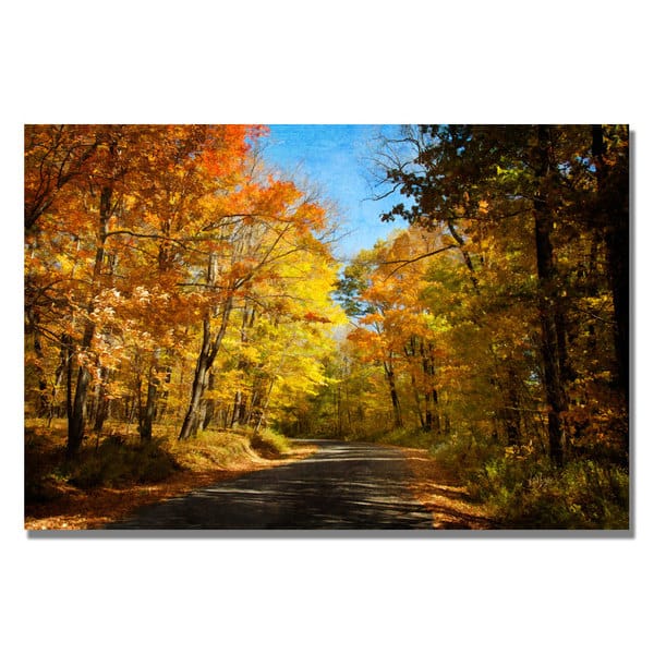 slide 2 of 2, Lois Bryan 'Fall Walkway' Canvas Art
