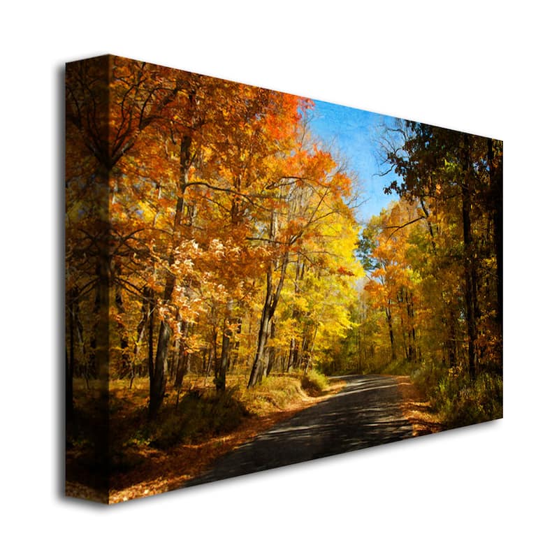 Lois Bryan 'Fall Walkway' Canvas Art