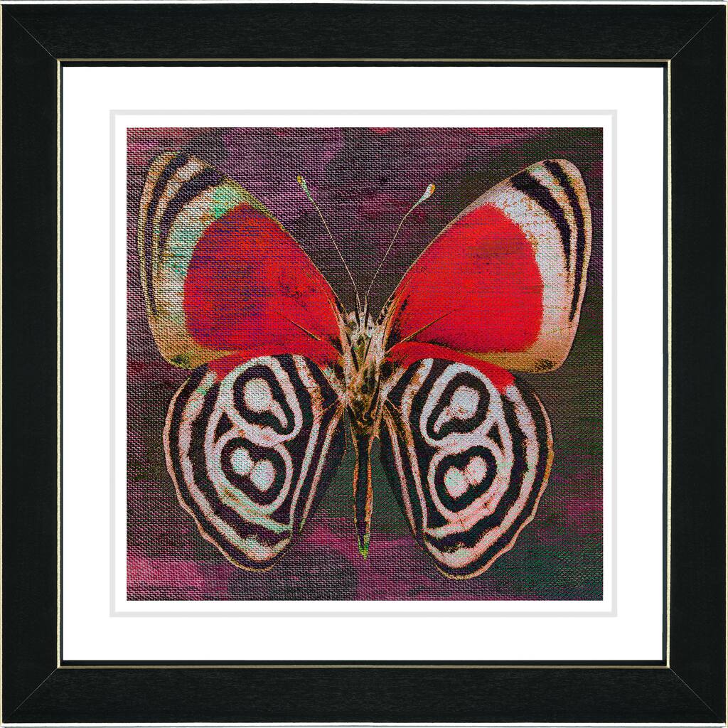 Studio Works Modern 'Red Zebra Butterfly' Framed Print