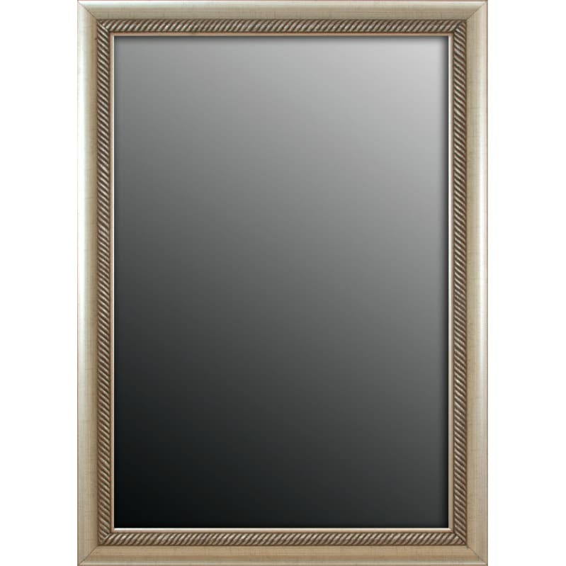 Peruvian Aged Silvertone Trim 23x59 inch Mirror Today $172.99 Sale $
