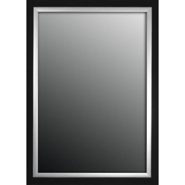 Natural Ebony Black With Silver Trim 23x59-inch Mirror
