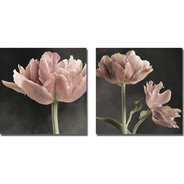 Sondra Wompler 'Tulip I and II' 2 piece Canvas Art Set Canvas