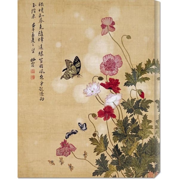 Global Gallery Ma Yuanyu 'Corn Poppy and Butterflies' Stretched