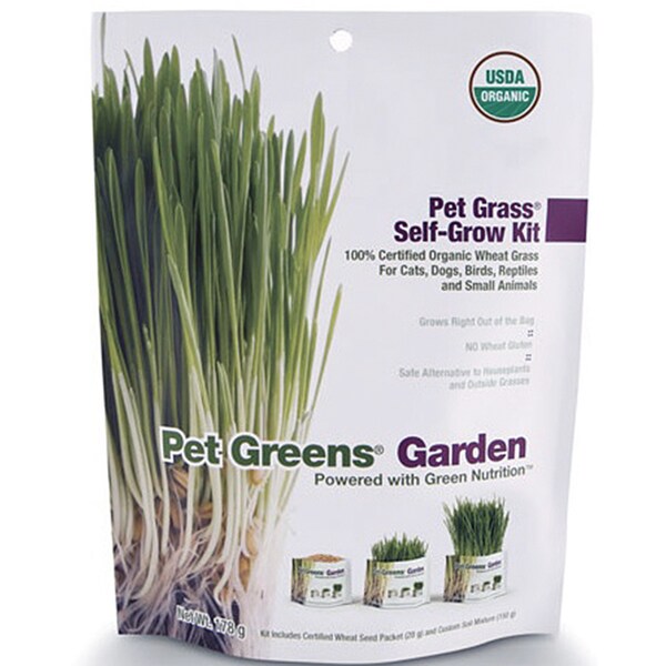 Bellrock Growers Pet Greens Cat Organic Self Grow Kit Bellrock Growers Cat Treats