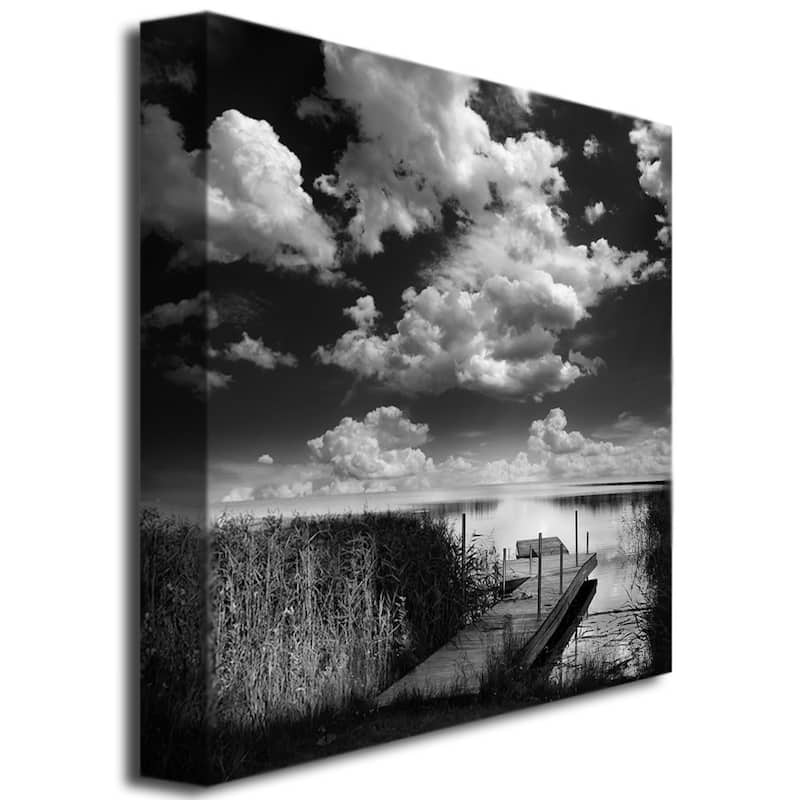 Philippe Sainte-Laudy 'Double World' Canvas Art