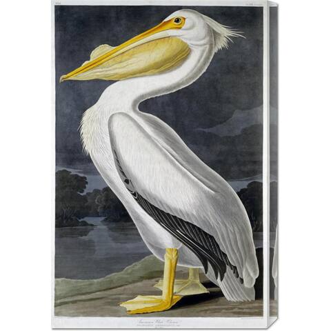 Global Gallery John James Audubon 'American White Pelican' Stretched Canvas Art - White/Grey