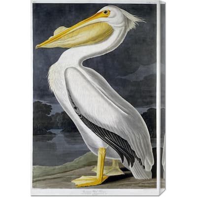 Global Gallery John James Audubon 'American White Pelican' Stretched Canvas Art - White/Grey