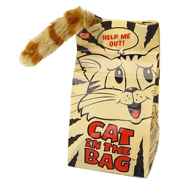 cat bag toy