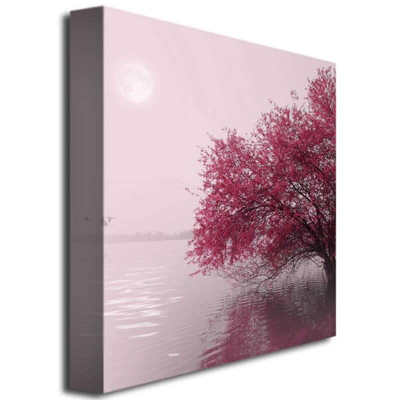 Philippe Sainte-Laudy 'Full Moon on the Lake' Canvas Art