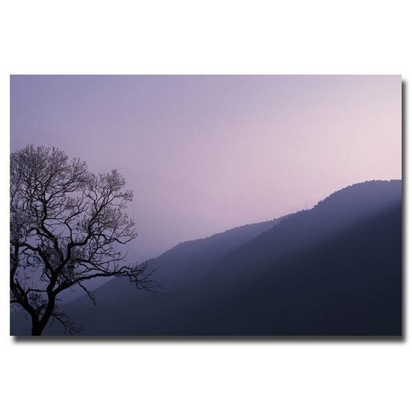 slide 2 of 2, Philippe Sainte Laudy 'Purple Hours' Canvas Art