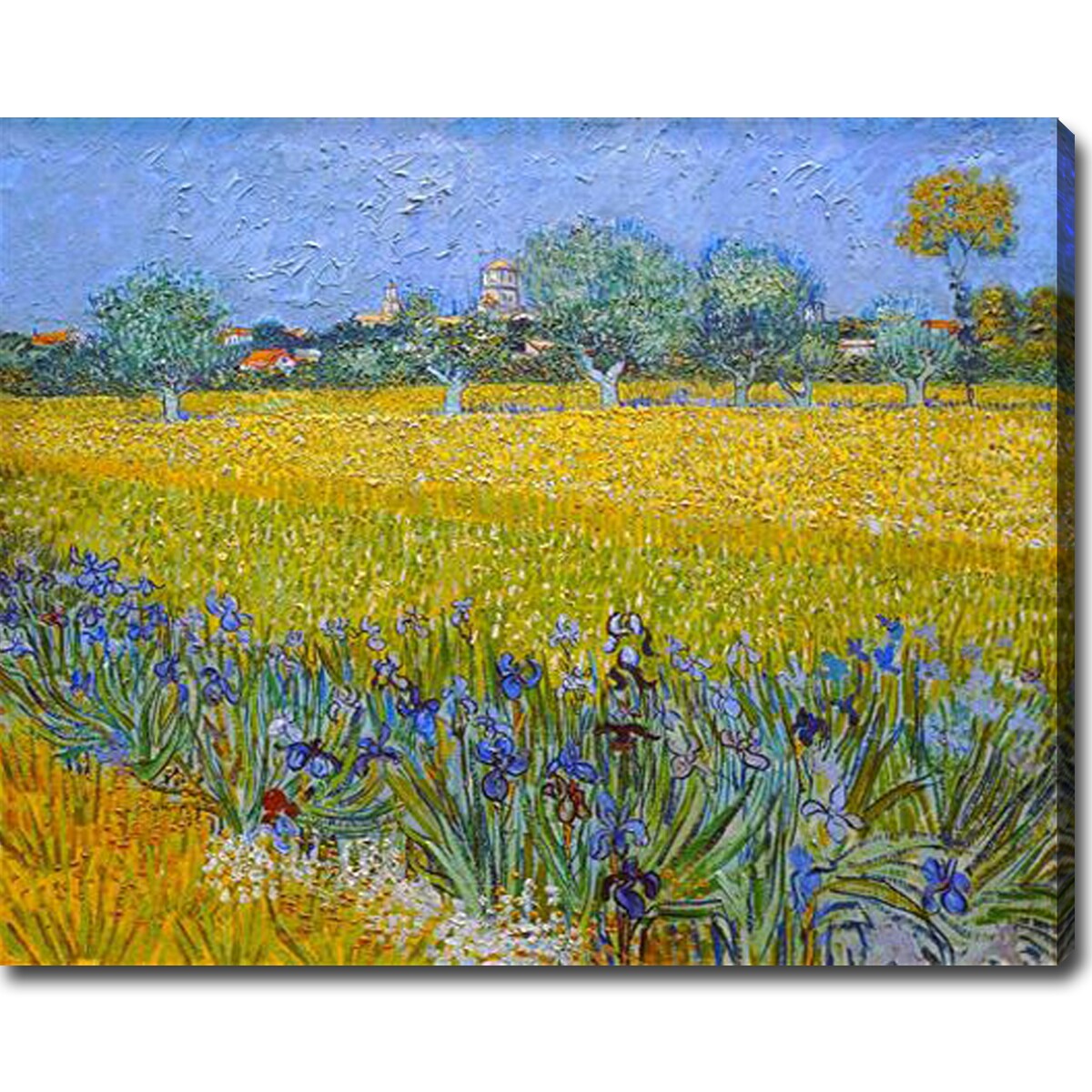 Vincent van Gogh 