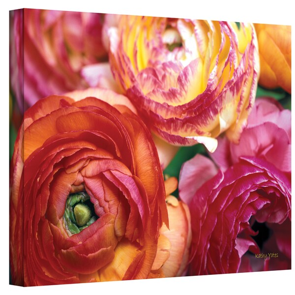 Shop Kathy Yates 'Ranunculus Close-up' Canvas Art - Multi - On Sale ...