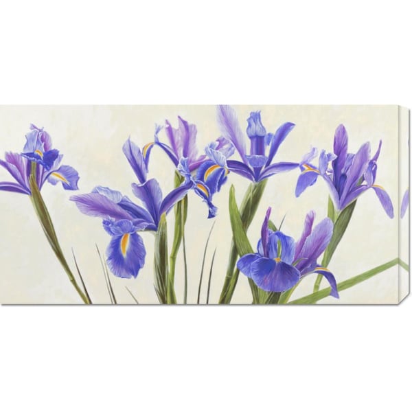 Elena Dolci 'Iris' Stretched Canvas Art Canvas