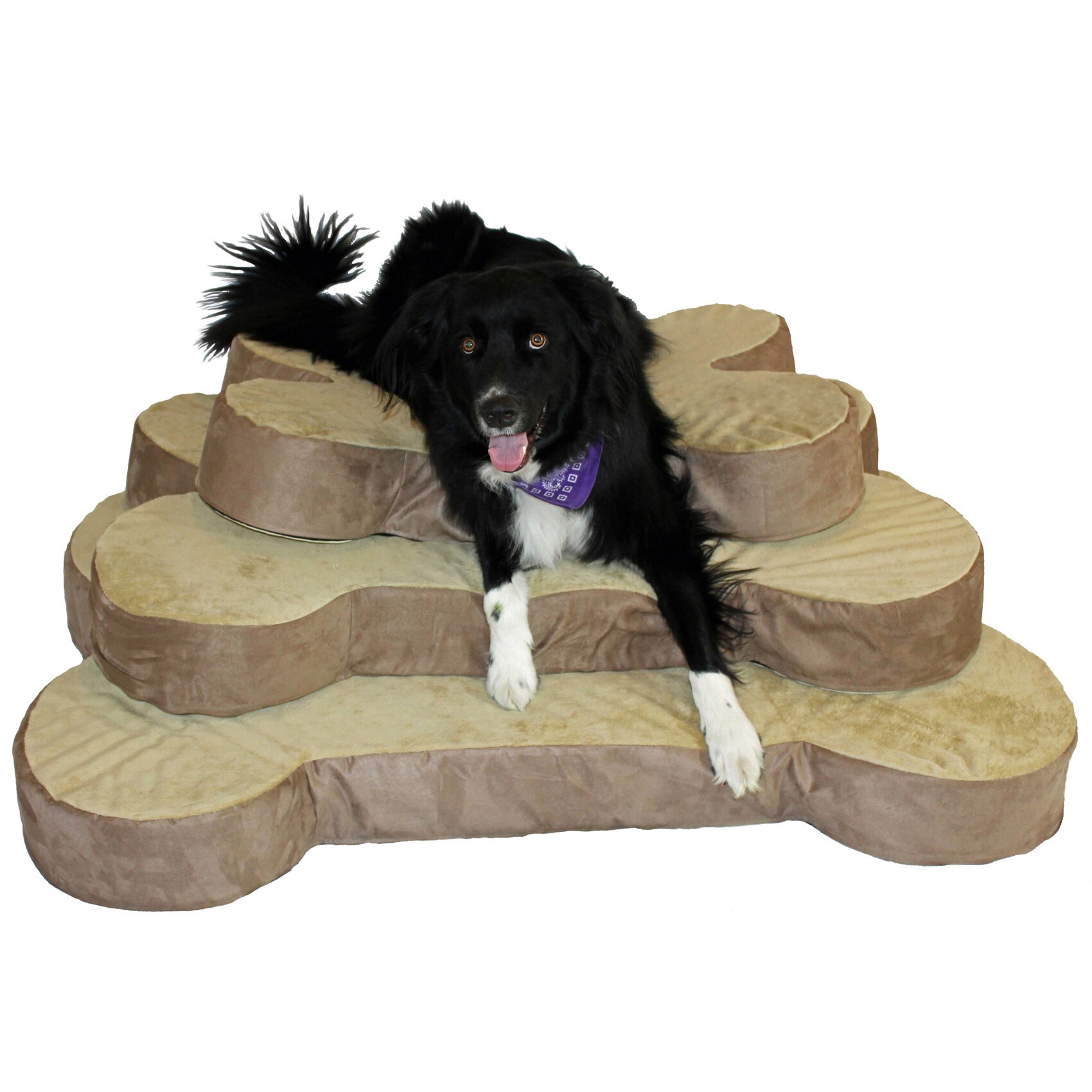 Integrity Bedding 5-inch Bone Shaped Memory Foam Dog Bed - Bed Bath &  Beyond - 7604170