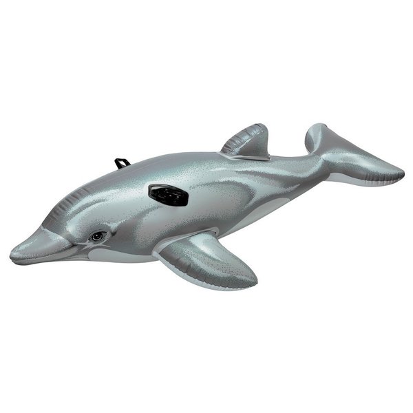 dolphin water toy